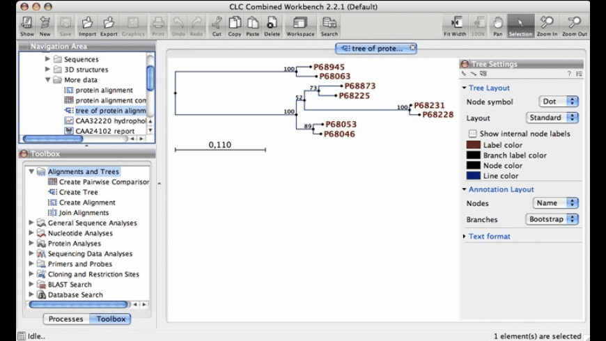 clc sequence viewer 7 phylogram